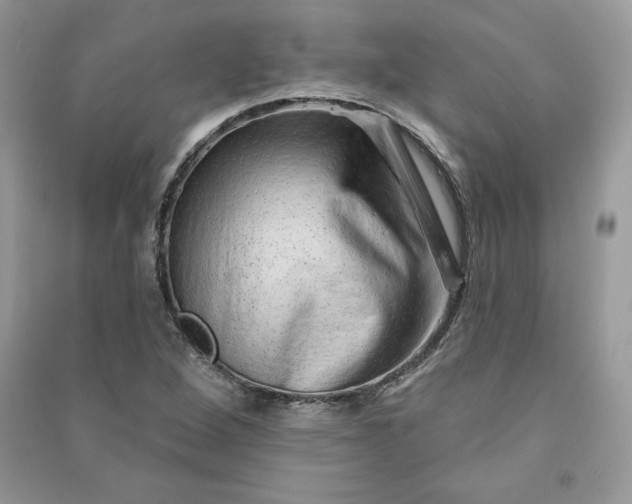 X0000090871264200708101326