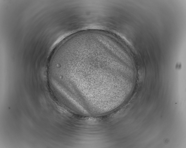 X0000090871266200708101326