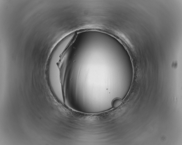 X0000090871268200708101326