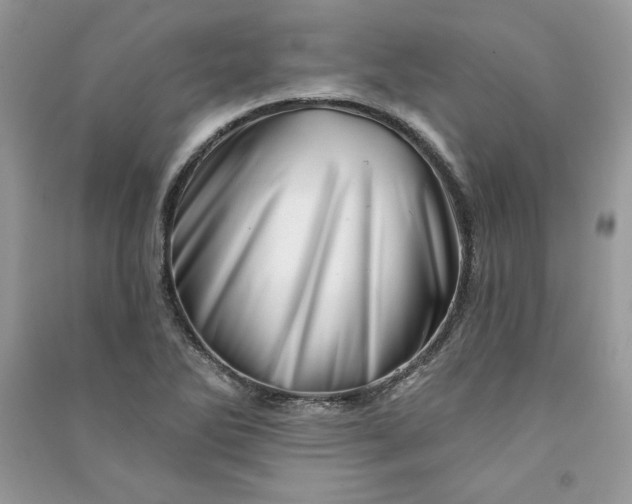 X0000090871270200708101326