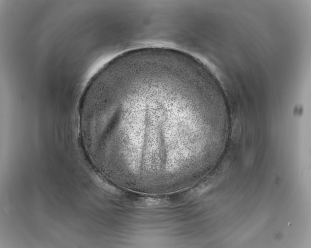 X0000090871271200708101326