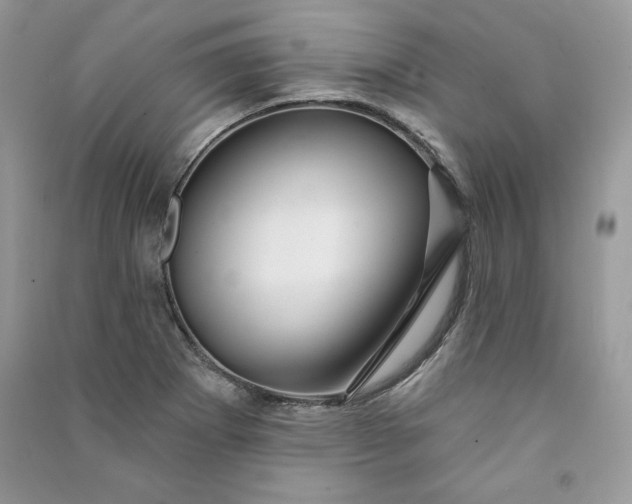 X0000090871273200708101326