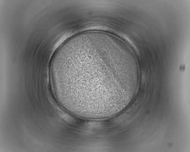 X0000090871274200708101326