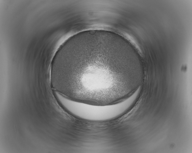 X0000090871275200708101326