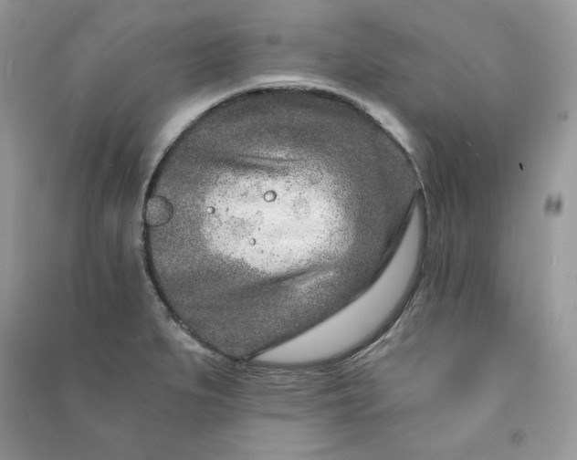 X0000090871279200708101326