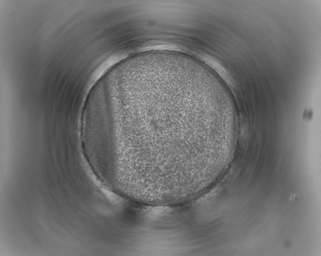 X0000090871282200708101326