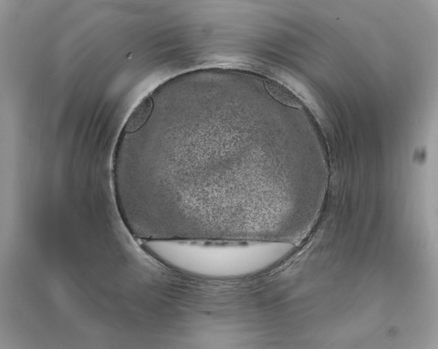 X0000090871283200708101326