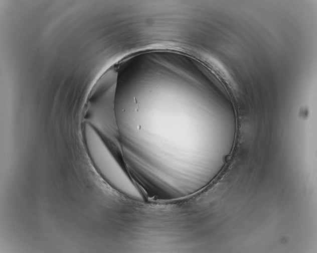 X0000090871284200708101326