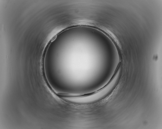 X0000090871285200708101326