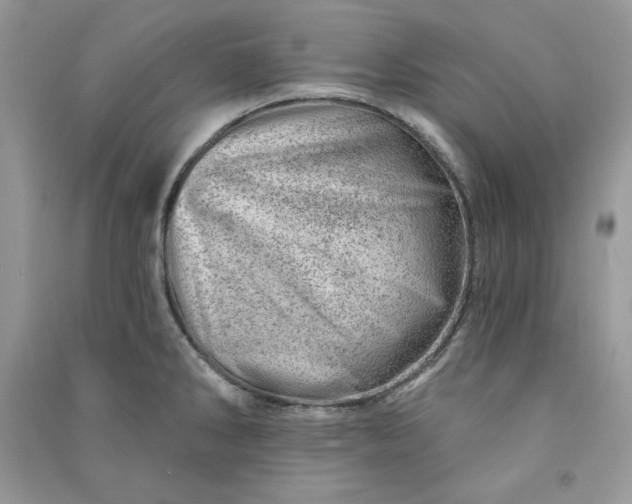 X0000090871286200708101326