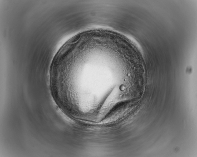 X0000090871287200708101326