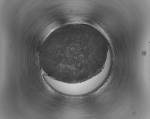 X0000090871289200708101326