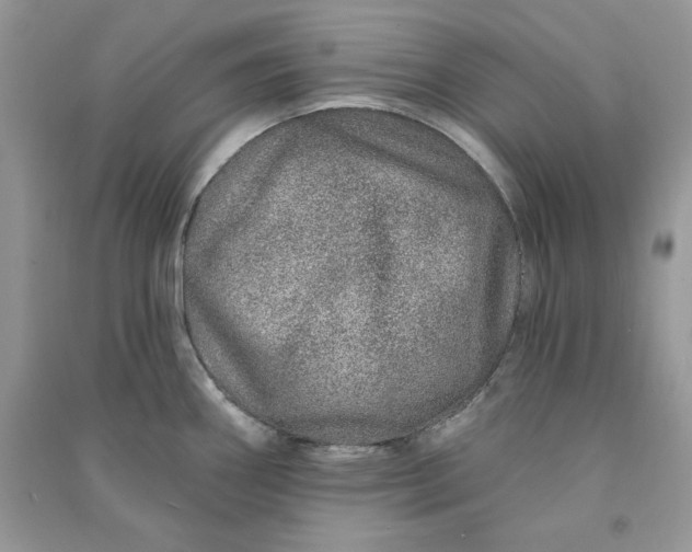 X0000090871290200708101326