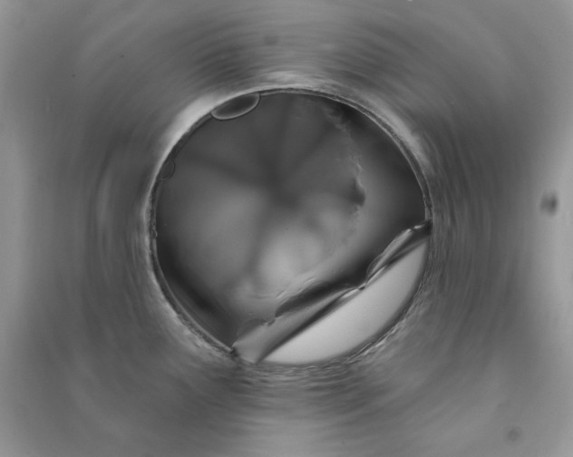 X0000090871291200708101326