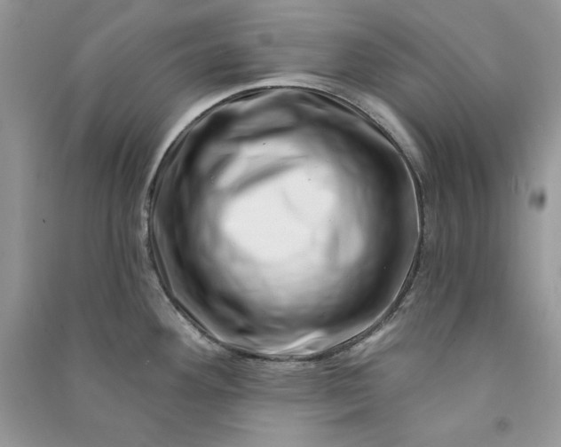 X0000090871292200708101326