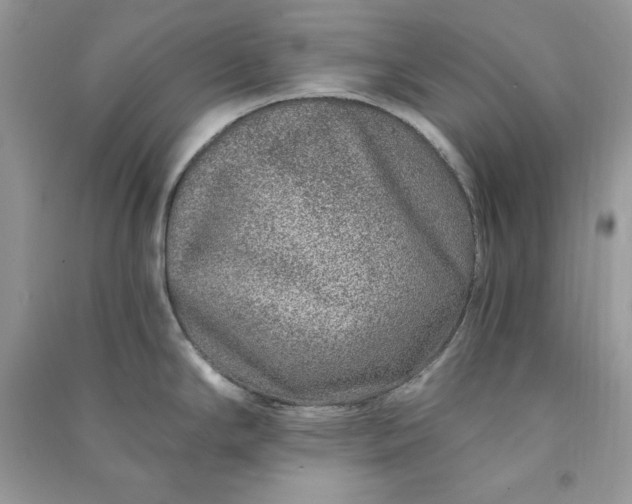 X0000090871294200708101326