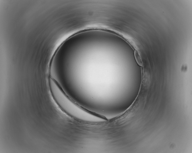 X0000090871295200708101326