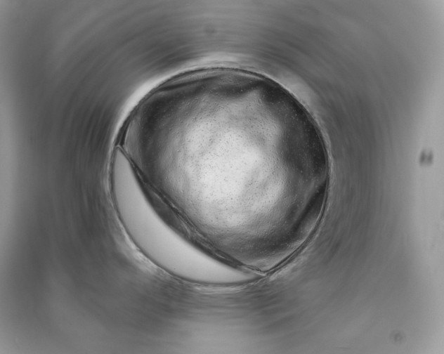 X0000090871296200708101326