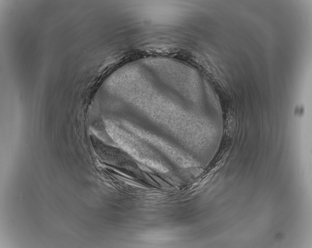 X0000090871297200708101325