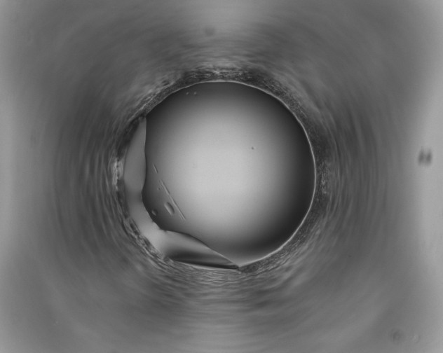 X0000090871298200708101325