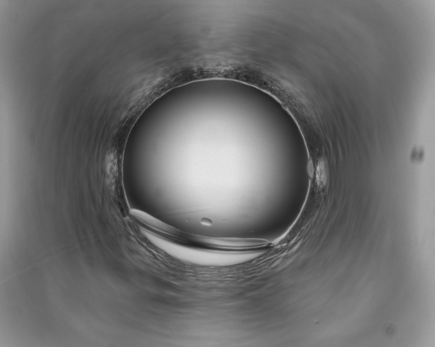 X0000090871299200708101325