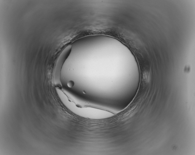 X0000090871300200708101325