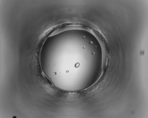 X0000090871304200708101325