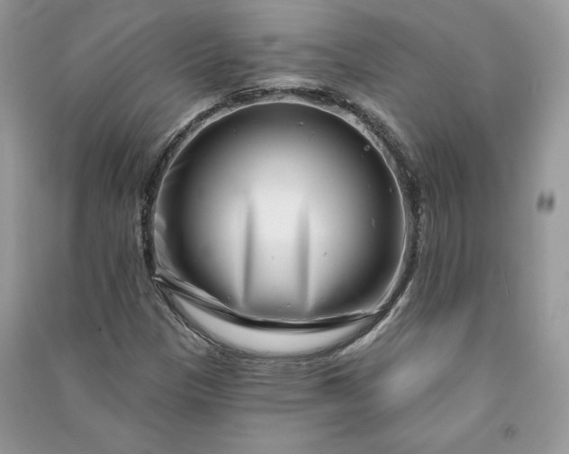 X0000090871305200708101325