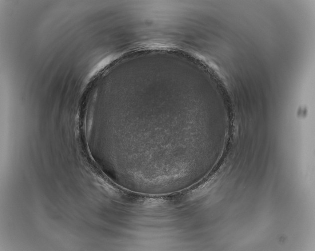 X0000090871306200708101325