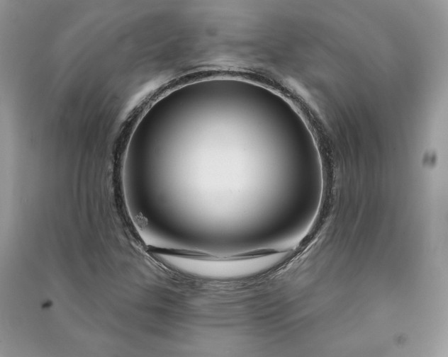 X0000090871307200708101325