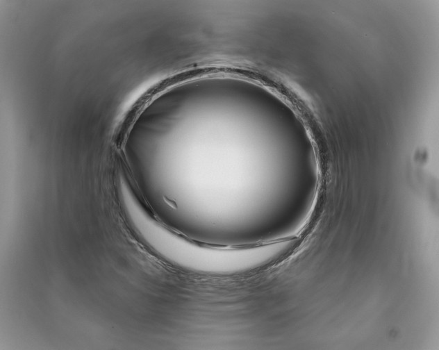 X0000090871310200708101325