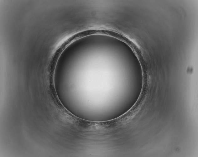 X0000090871311200708101325