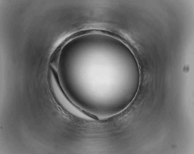 X0000090871312200708101325