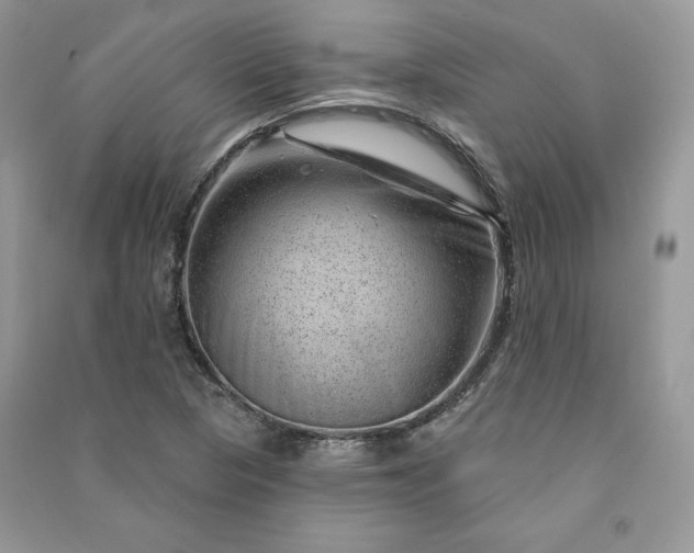 X0000090871313200708101325