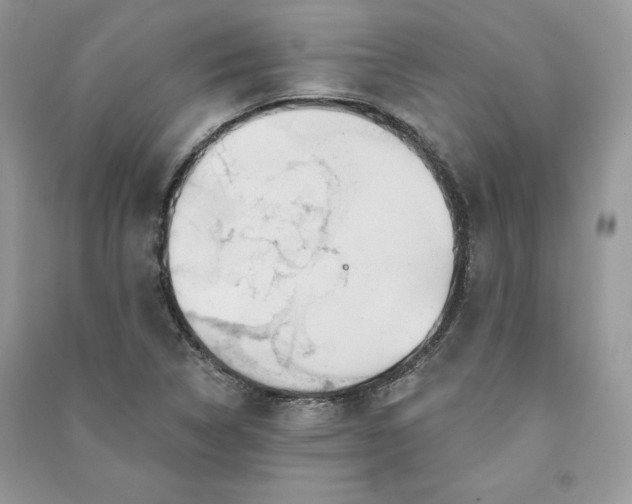 X0000090871314200708101325