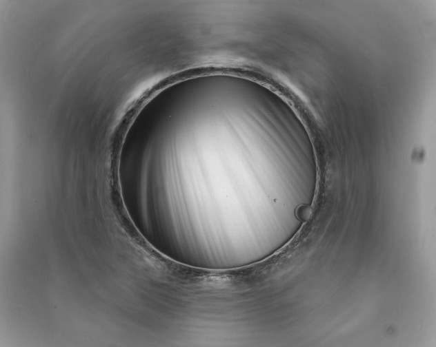 X0000090871315200708101325