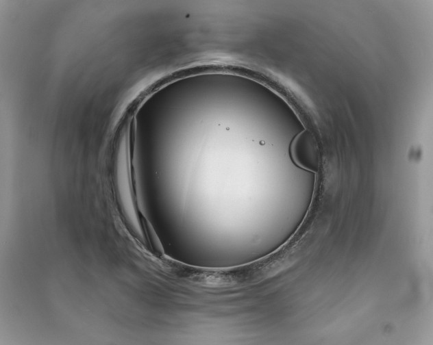 X0000090871318200708101325