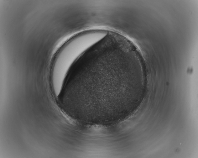 X0000090871319200708101325