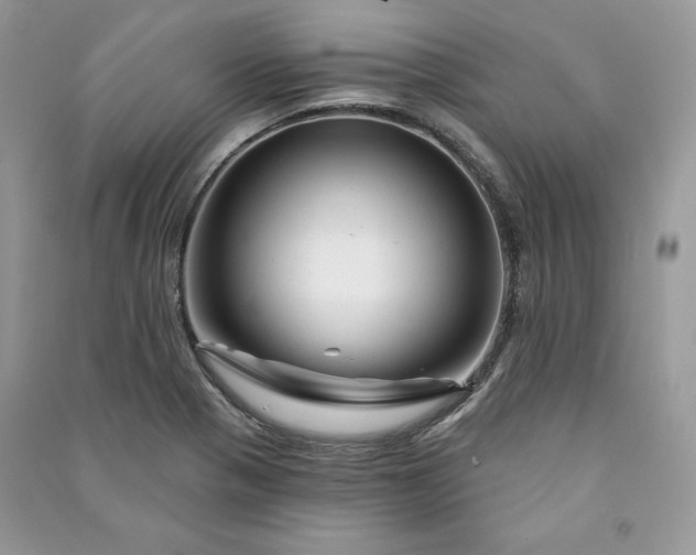 X0000090871321200708101325