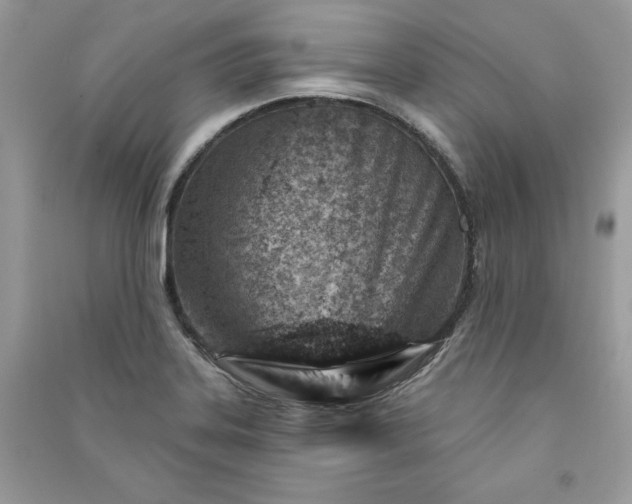 X0000090871323200708101325