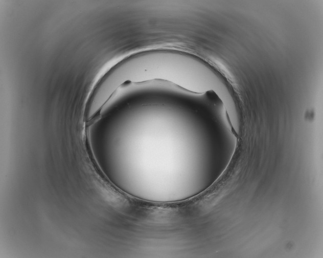 X0000090871324200708101325