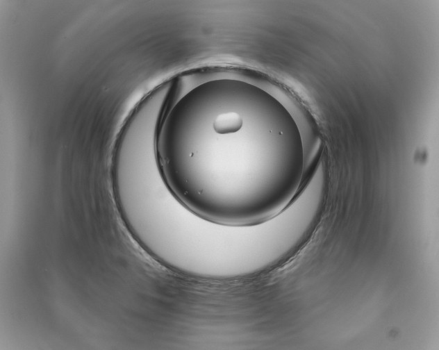 X0000090871326200708101325