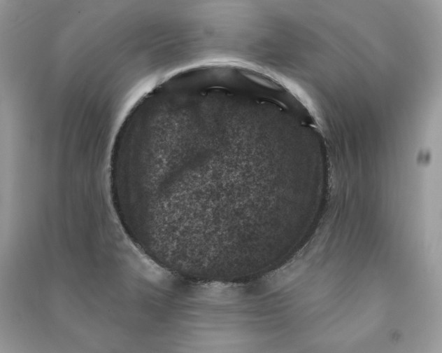 X0000090871327200708101325