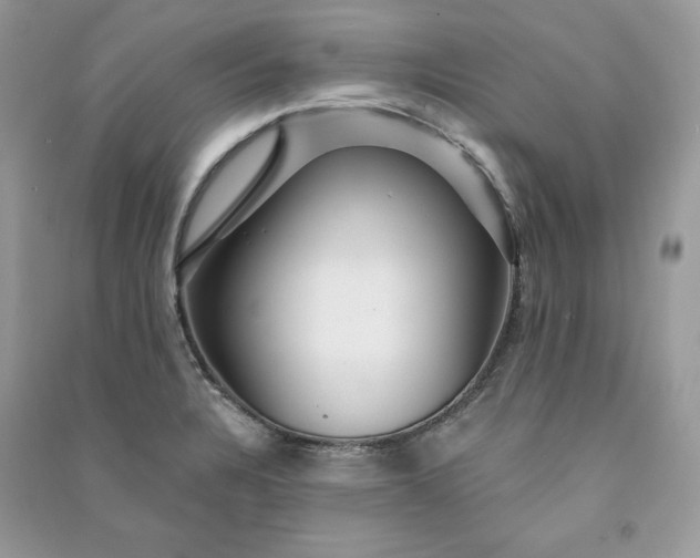 X0000090871328200708101325