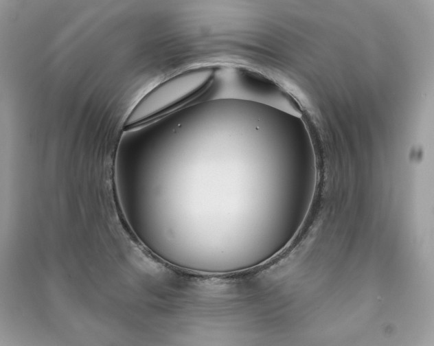 X0000090871329200708101325