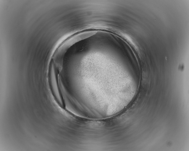 X0000090871331200708101325