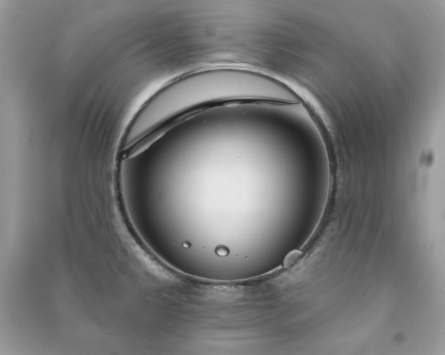 X0000090871333200708101325