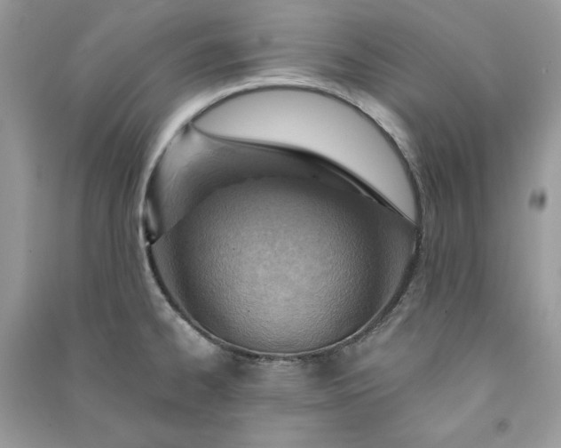 X0000090871334200708101325