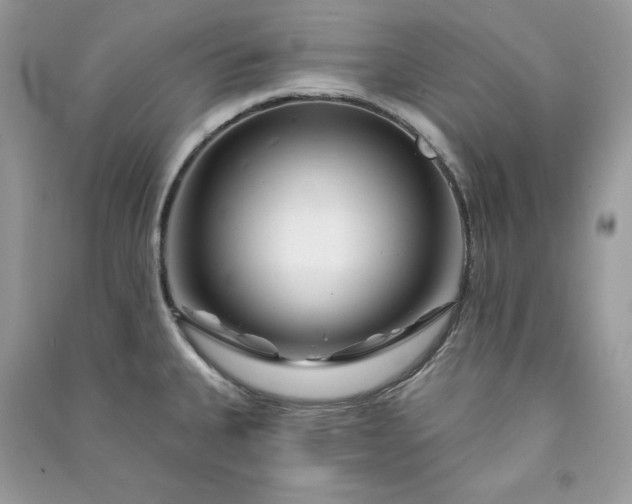 X0000090871335200708101325