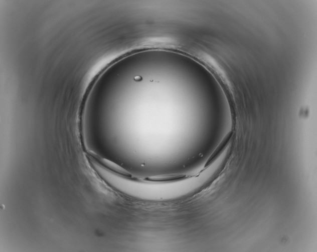 X0000090871336200708101325